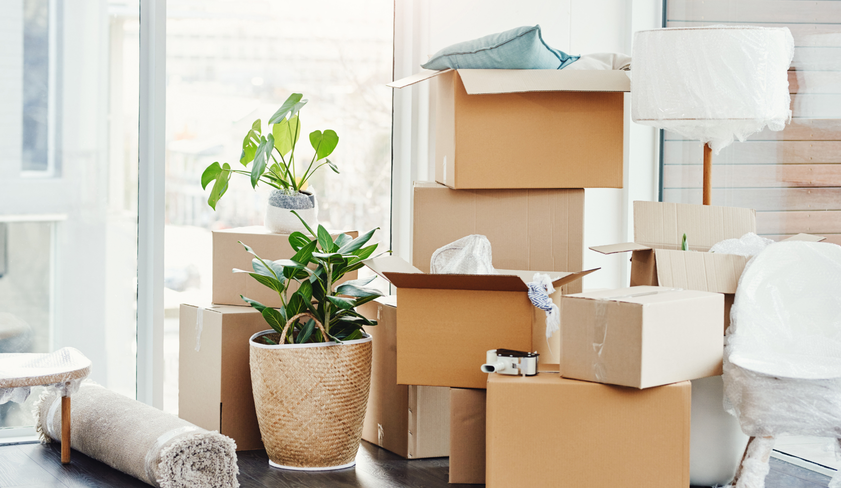 Photo of Moving in.png